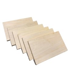 BRAND NEW for 2024 Carving / Pyrography Blank Pack (Basswood)