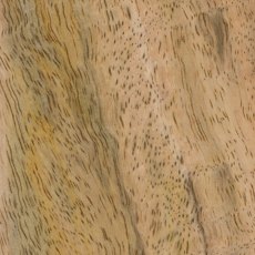 Dalmann Wild Mango (Asia) Woodturning Blanks