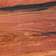 Dalmann African Rosewood Woodturning Blanks