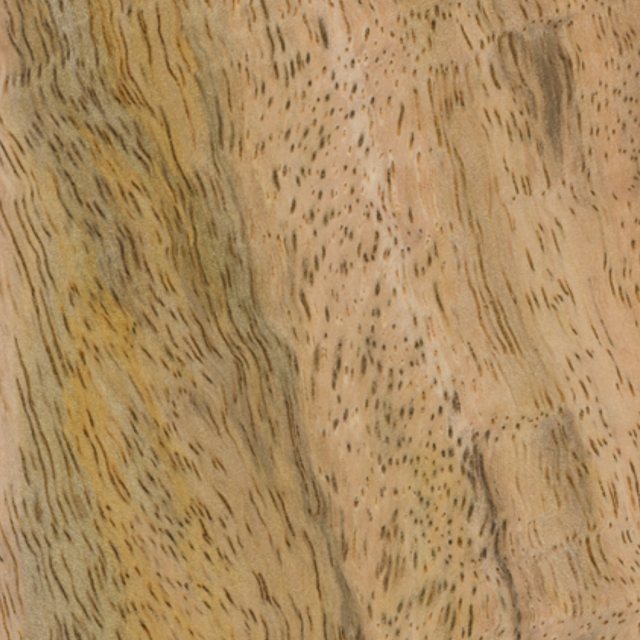 Yandles Dalmann Wild Mango (Asia) Woodturning Blanks