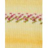 Sirdar Hayfield Baby Blossom Chunky- Pretty Primrose 0357