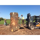 English Oak Tree being split & planked!