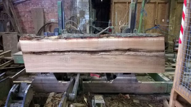 Cutting an oak log
