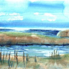 First Steps in Watercolour taster sessions