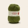 Sirdar Country Classic Worsted - Fern 0672