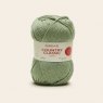 Sirdar Country Classic Worsted - Moss 0673