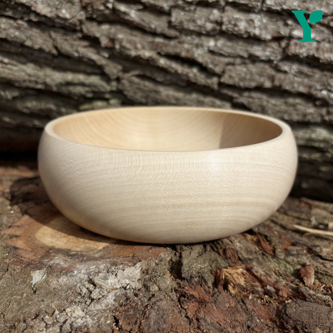 #sycamore #woodturning #blank