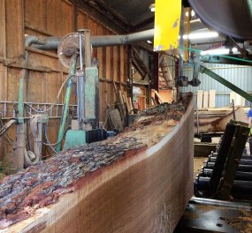 Yandles Sawing Log