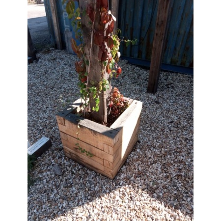 Oak Planter Kit