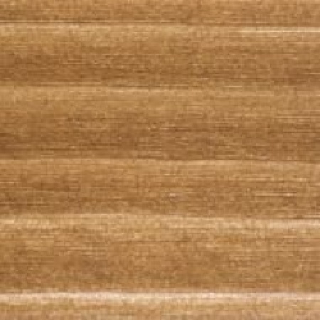 ant pine