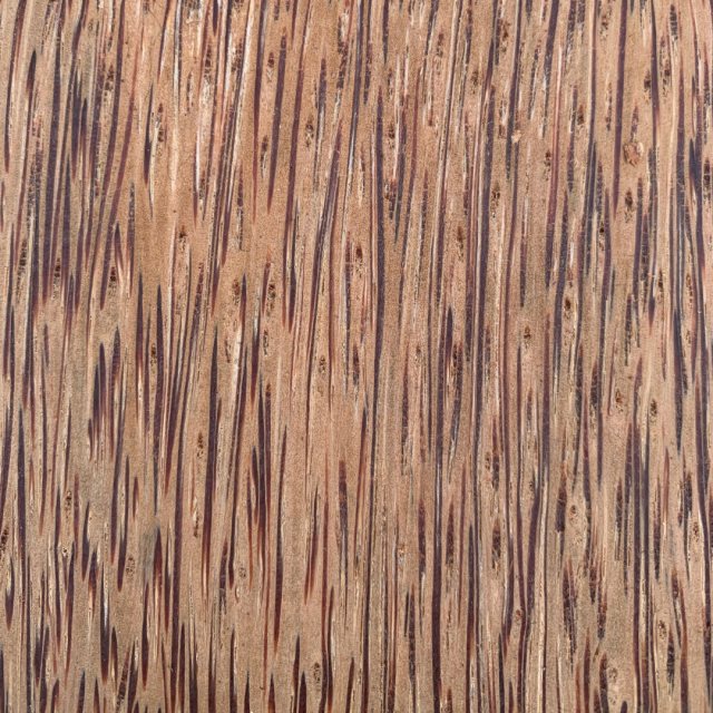 Rare & Exotic Palmwood / Red Palmira Planks - Image 2