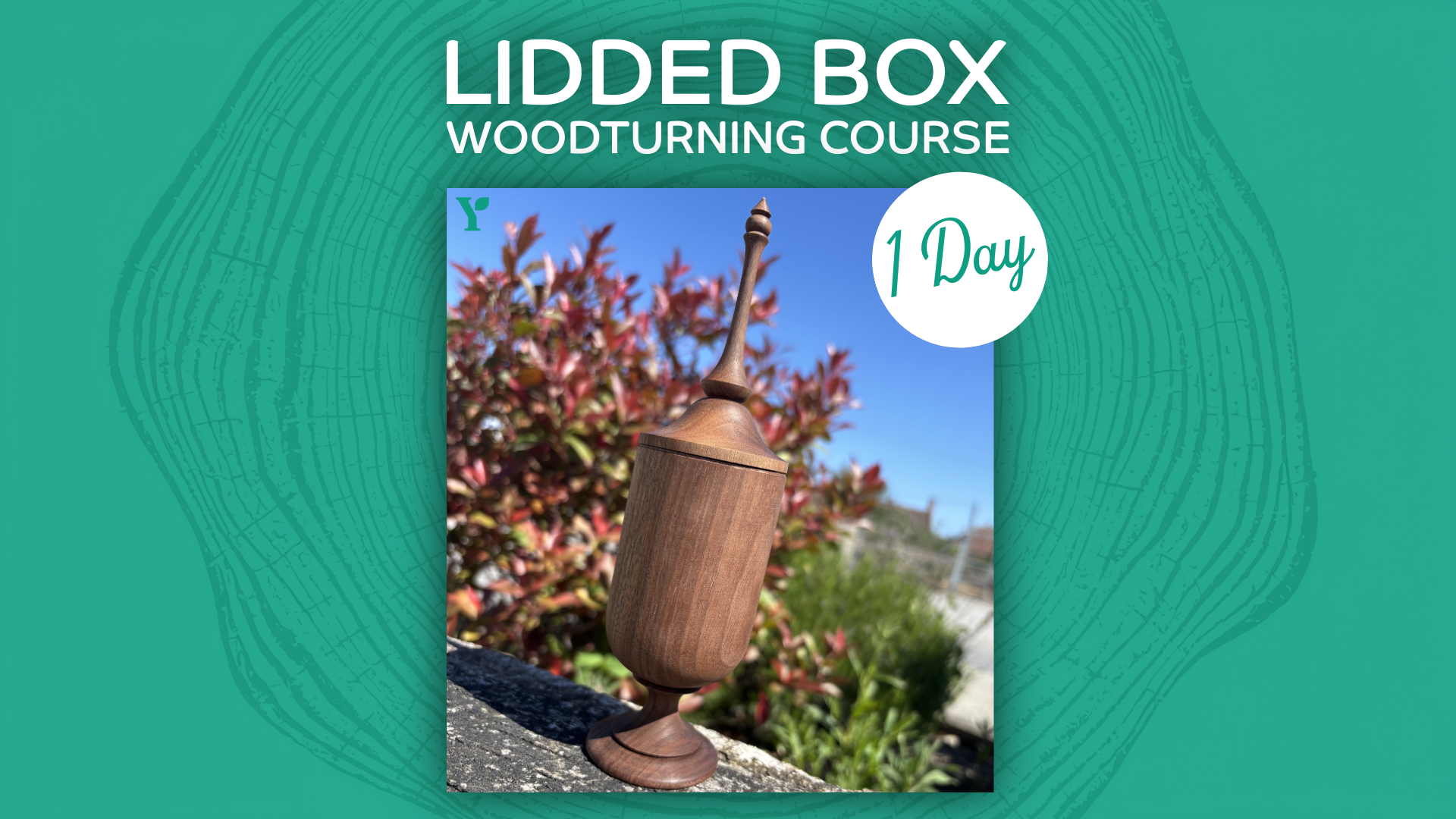 #liddedbox #woodturning #course