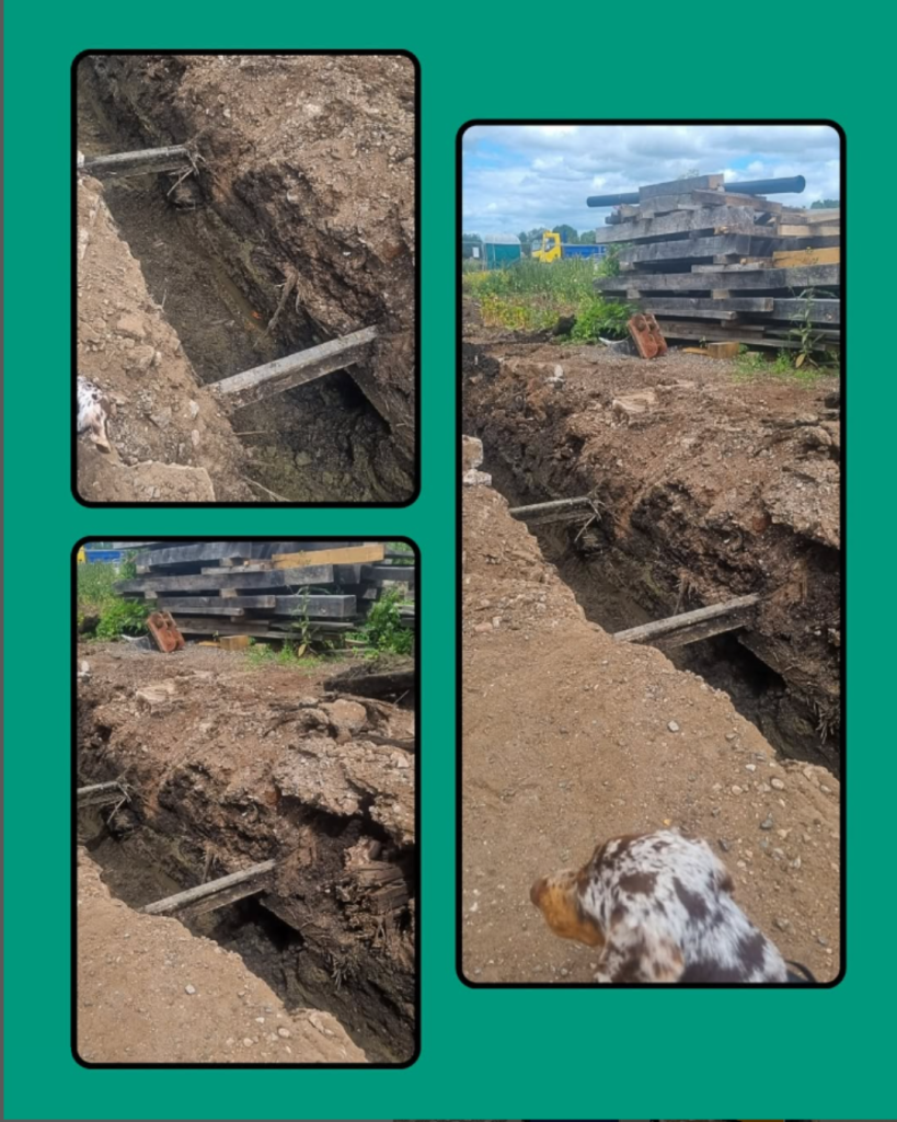 #digging #history