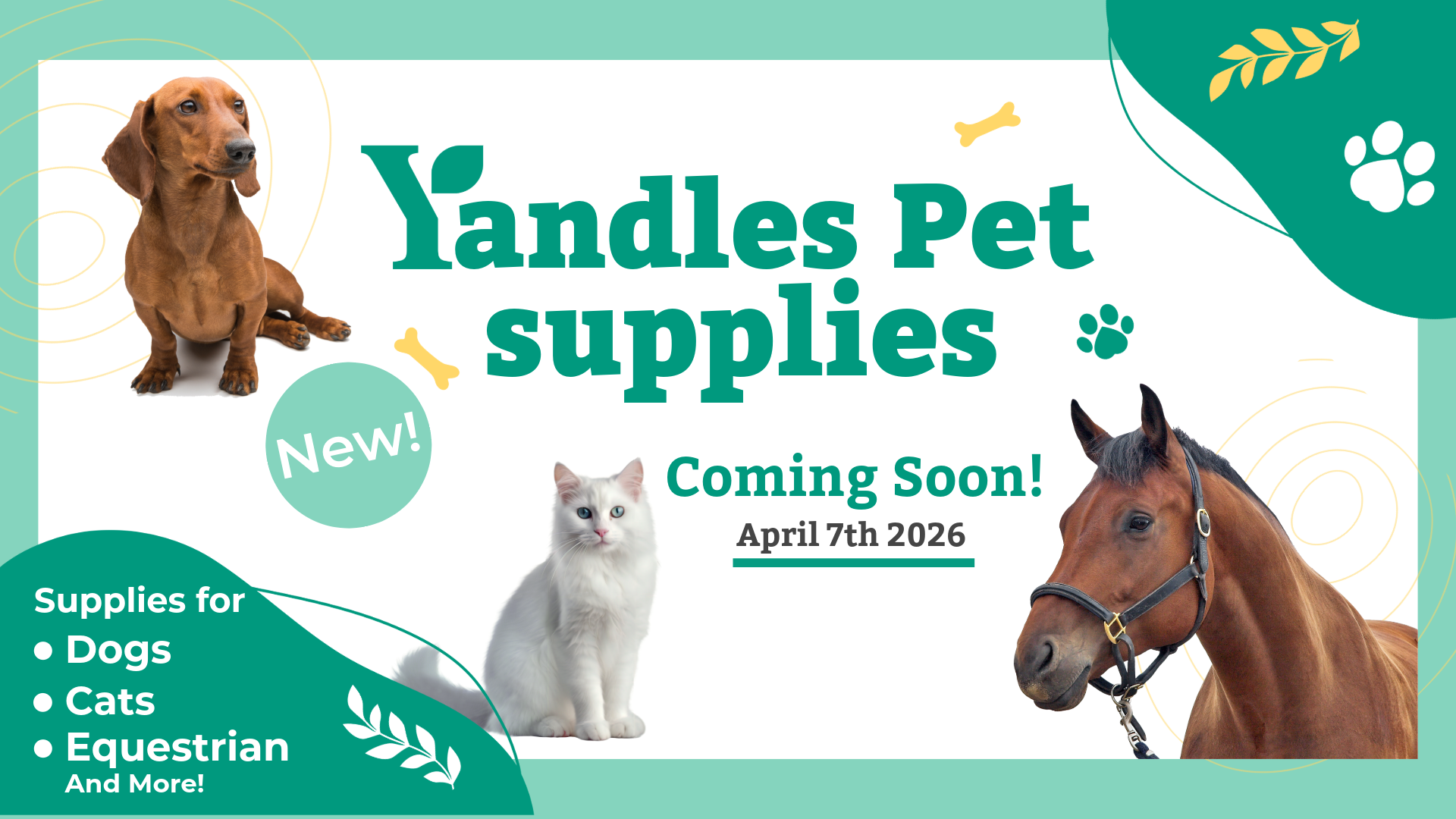 Yandles pet supplies