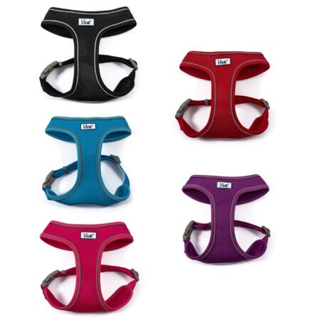 Viva Exercise & Travel Harness Red L 60-85cm
