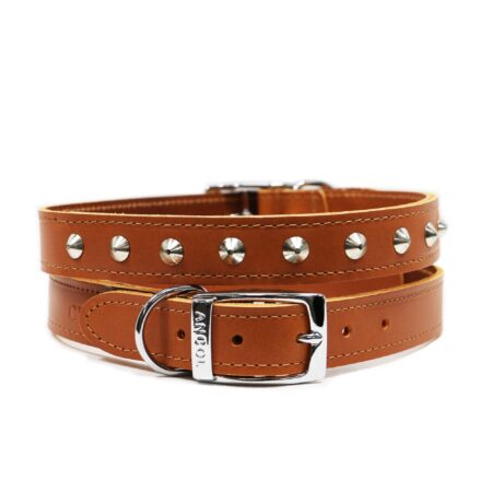 Leather Stud Collar Tan 20-26cm Size 1
