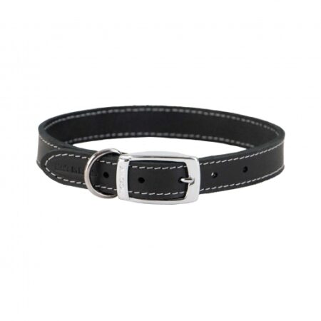 heritage classic dog collar #dogcollar #heritage