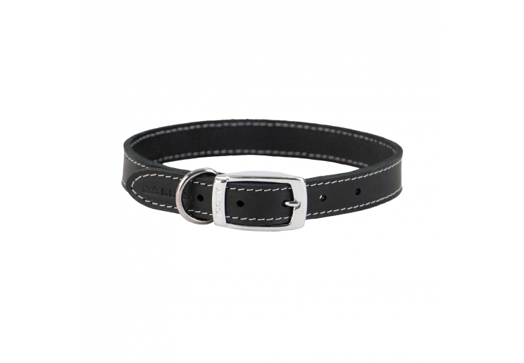 heritage classic dog collar #dogcollar #heritage