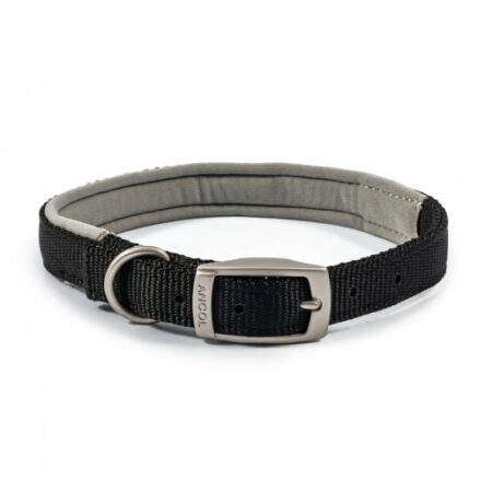 padded viva collar #dogcollar #viva