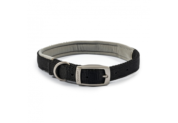padded viva collar #dogcollar #viva