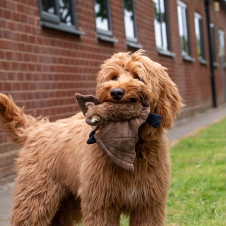 heritage barnaby bat dog toy #dogtoy #bat
