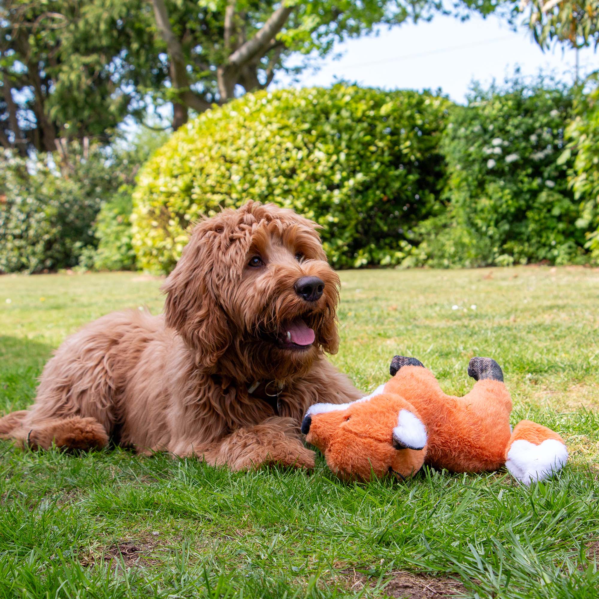 Heritage Felicity Fox dog toy #dogtoy #fox