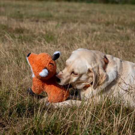 Heritage Felicity Fox dog toy #dogtoy #fox