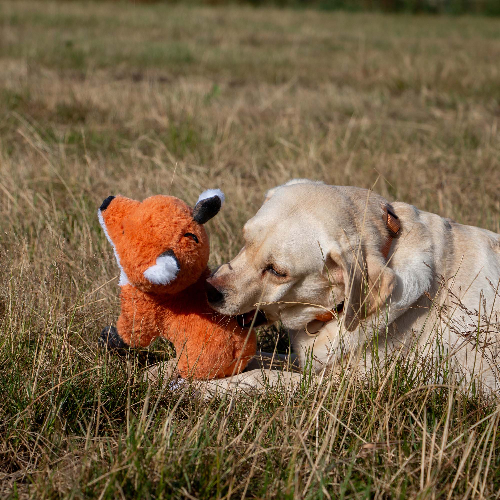 Heritage Felicity Fox dog toy #dogtoy #fox