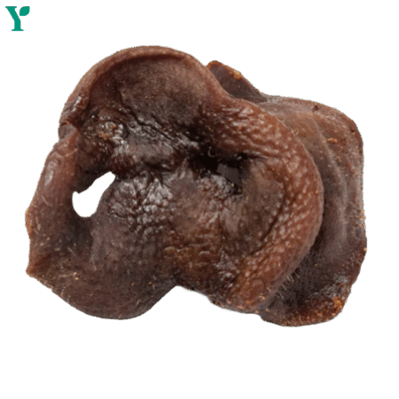 Pig Snouts - Natural Single