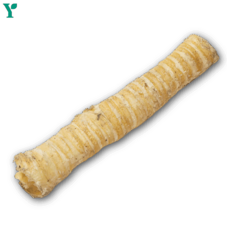Long Dehydrated Trachea Treat (15-40cm) 100% Beef Single