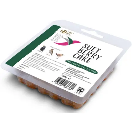 Suet Berry Cake