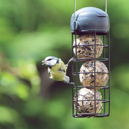 fat balls for bird feeding #fatballs #henrybell #birdfeeding