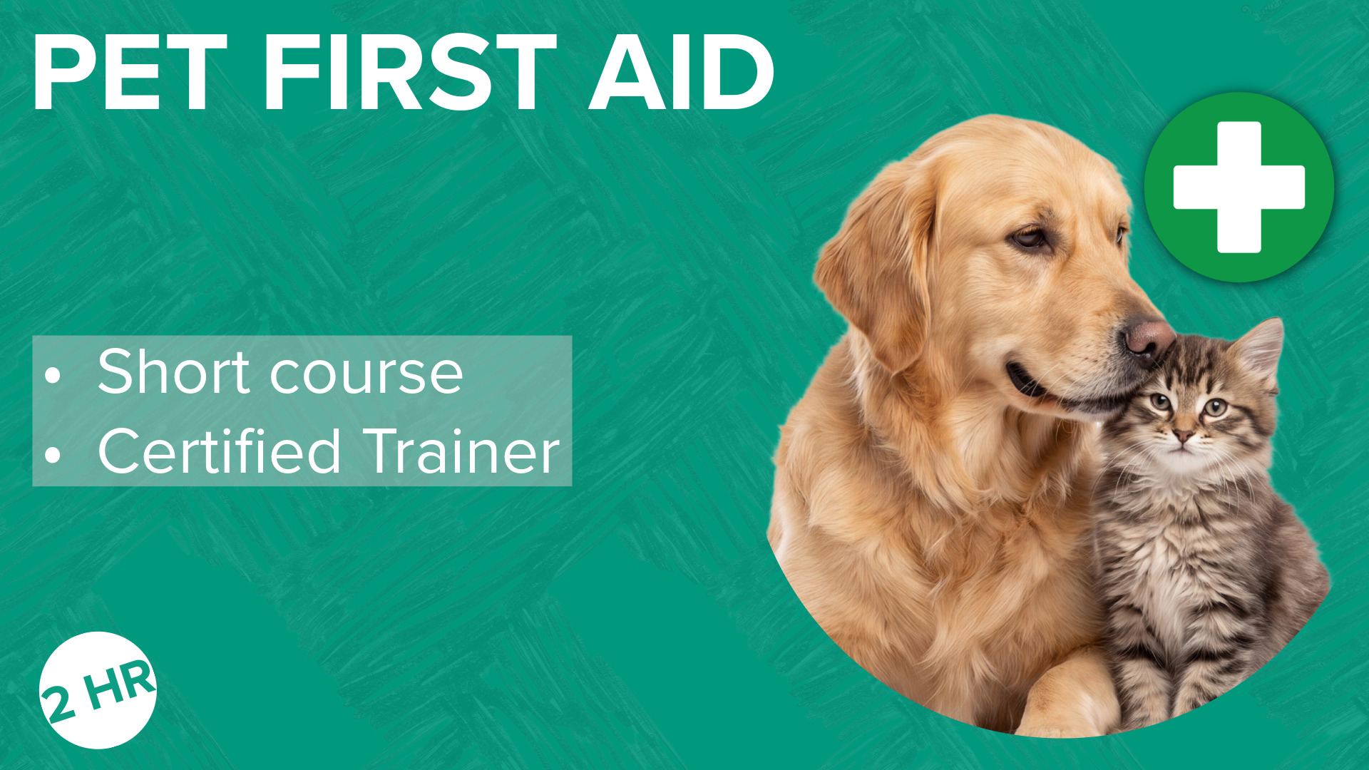 pet first aid course yandles #yandles #petfirstaid #firstaid #dog #cat #pet